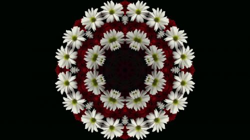 Round Frame Of Flowers
