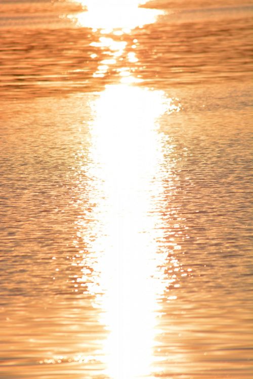 Sun Reflection In Water