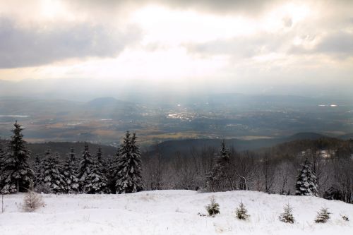 Winter Landscape