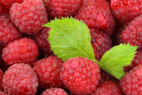 Raspberry Background