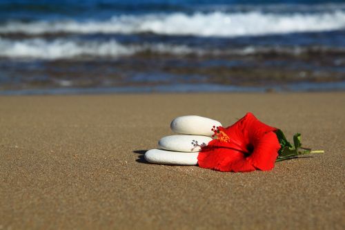 Stones And Flower In Sand