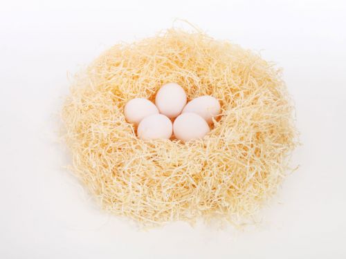 Eggs In Nest