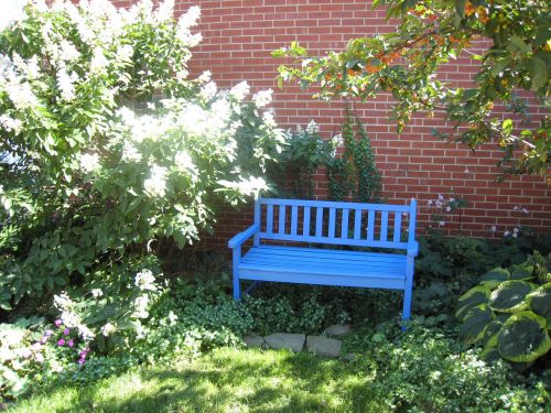 Blue Bench