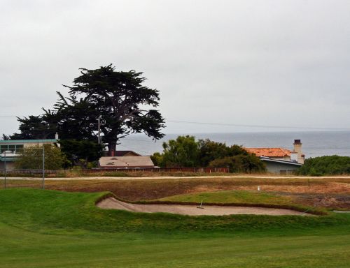 Ocean And Dunes