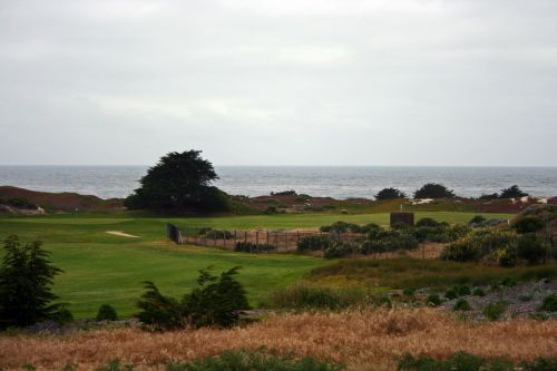 Ocean And Dunes