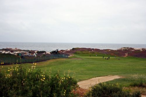 Ocean And Dunes