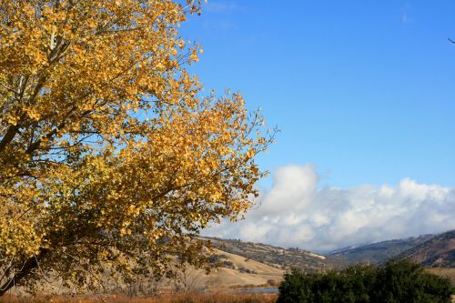 Tejon Pass In Late Autumn