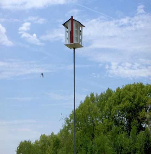 Bird House