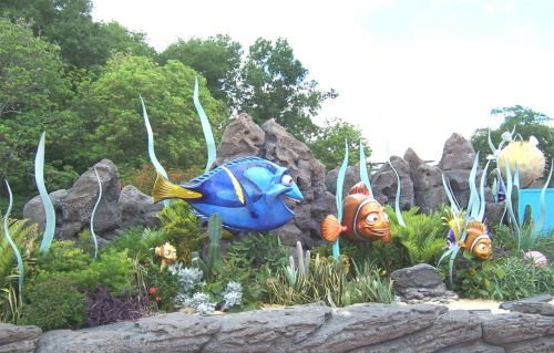 Fish Display