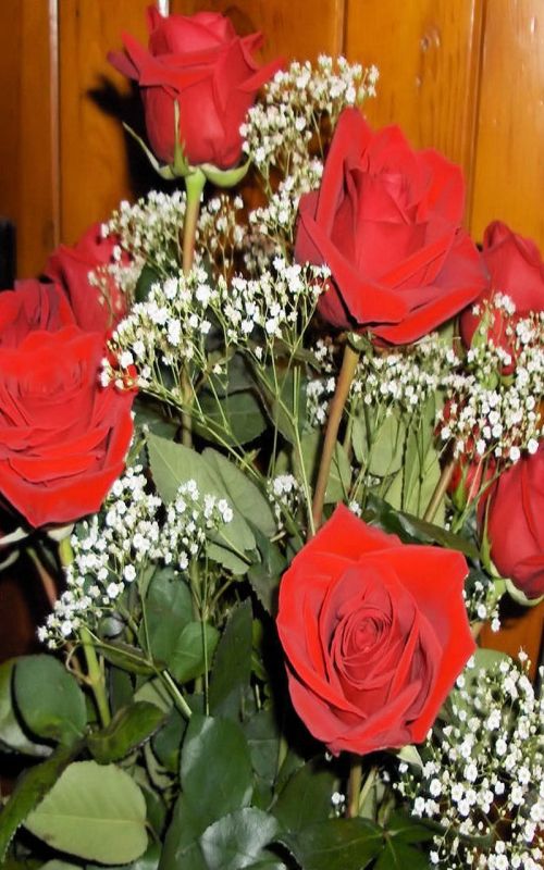 Red Roses