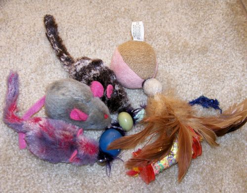 Cat Toys