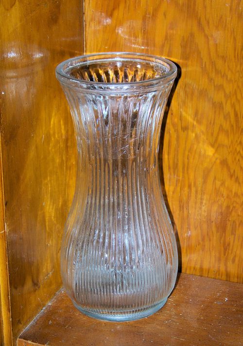 Glass Flower Vase