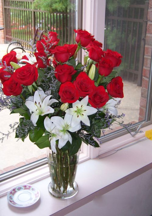 Flowers In The Window