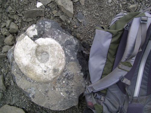 Ammonite And Backpack