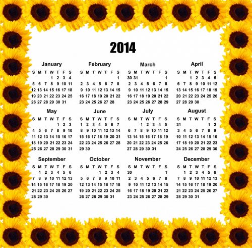 2014 Calendar Sunflower Frame