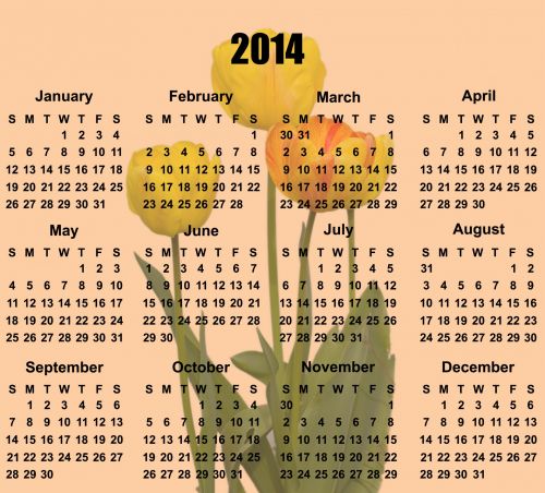 2014 Calendar Tulip Flowers