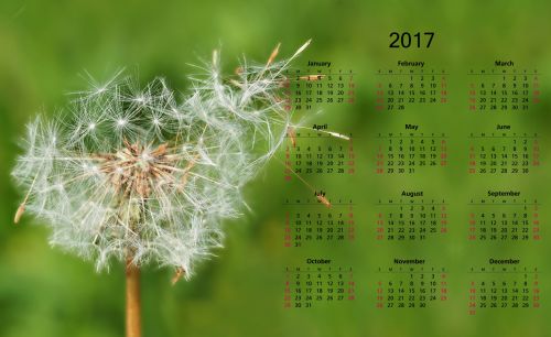 2017 Calendar With Dandelion