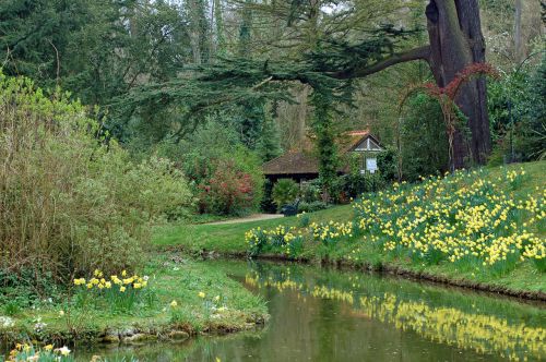 Garden In Spring