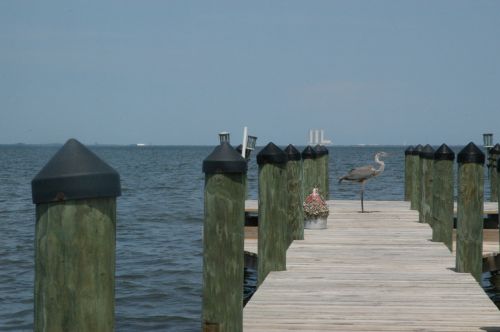 Crane On A Dock