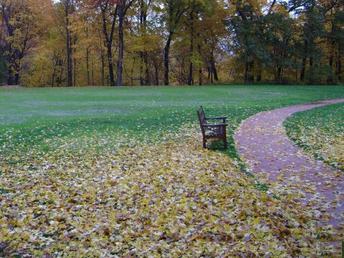 Bench Leaves