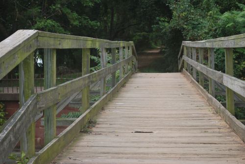 Wooden Bridge