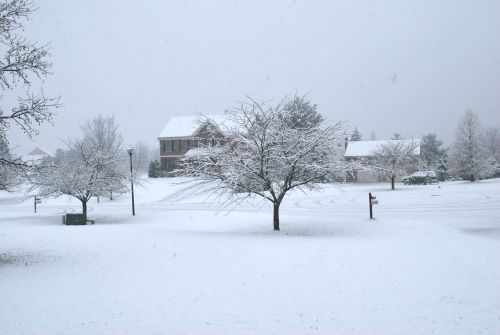 First Snow