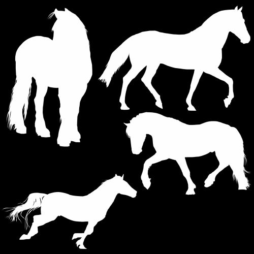 4 Horses