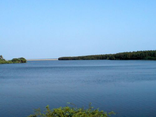 Mogadalapadu