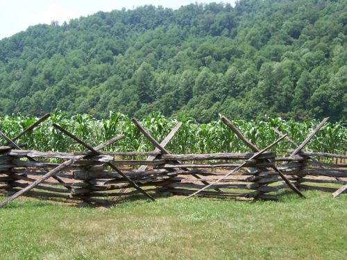 Old Fence