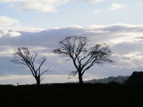 Silhouettes