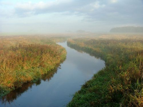 å morning mist