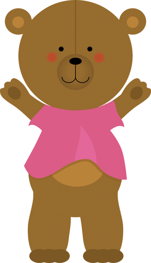 a bear teddy bear toy