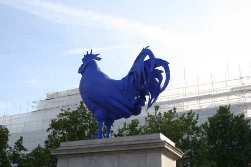 A Big Blue... Rooster