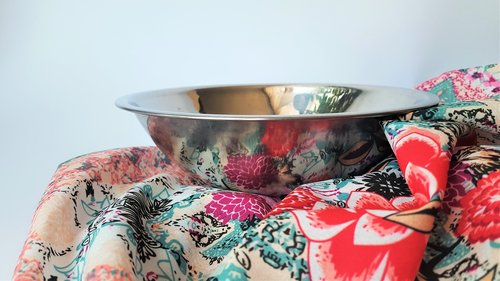 a bowl  substance  still life