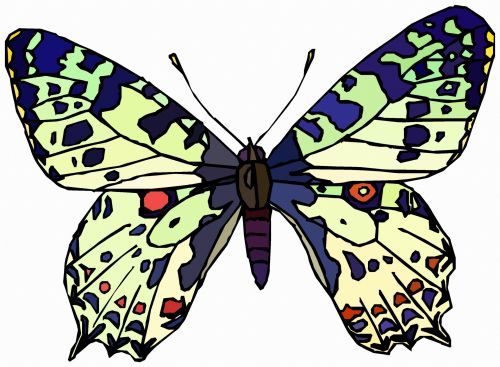 A Colorful Butterfly 10