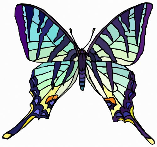 A Colorful Butterfly 11