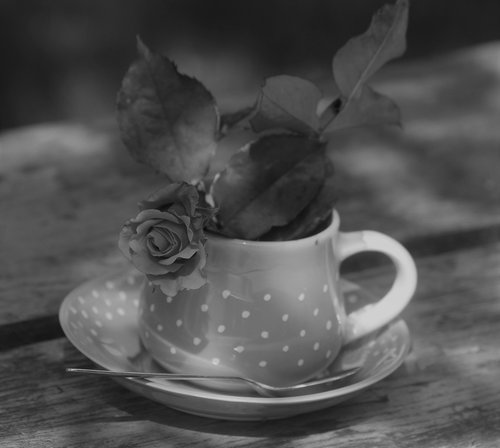 a cup of  romance  black and white
