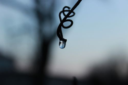a drop of reflection loneliness
