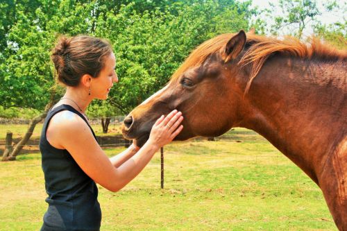 A Girl Loving A Horse