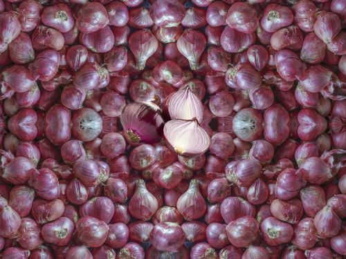 a lot of red onions