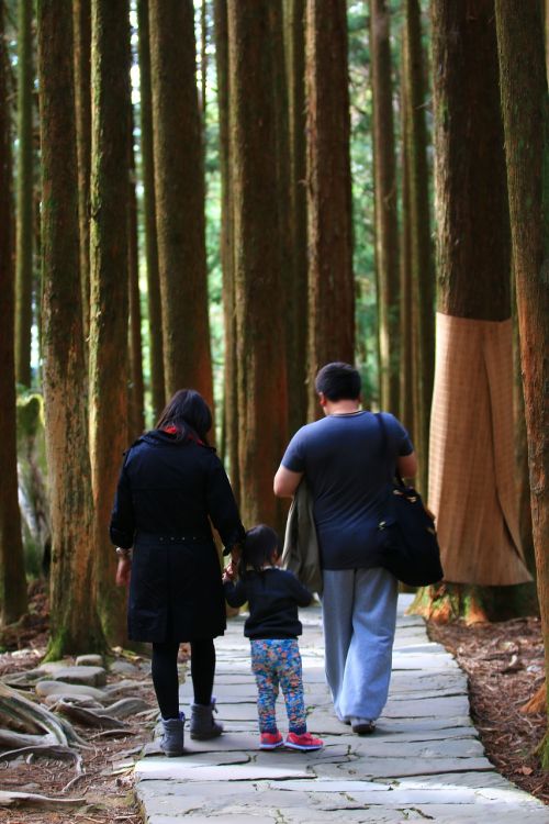 a person forest woodland