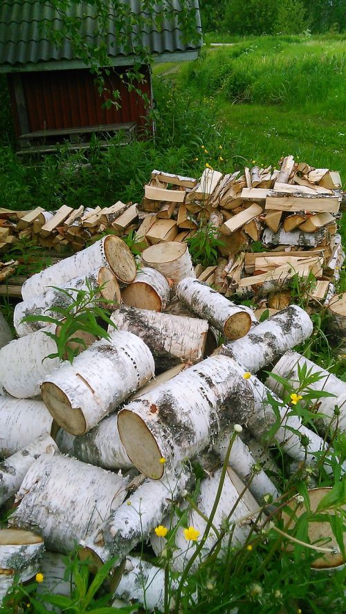 a pile of log birch