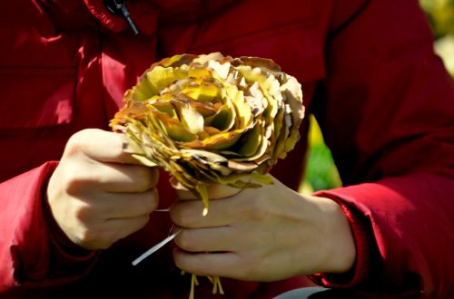 A Rose From Leaves