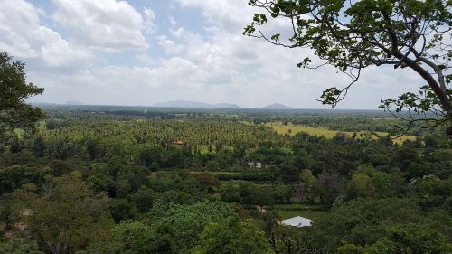 a scenic view dutugemunu forest monastery vijithapura