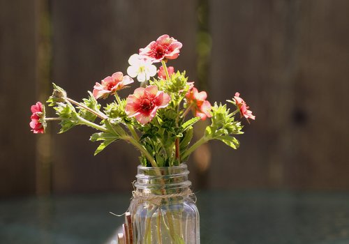 a small bunch  garden flowers  vase