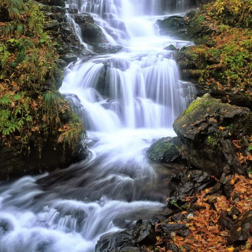 a small waterfall fallen leaves late autumn