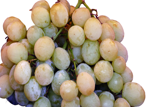 a table grape wine berries grapes