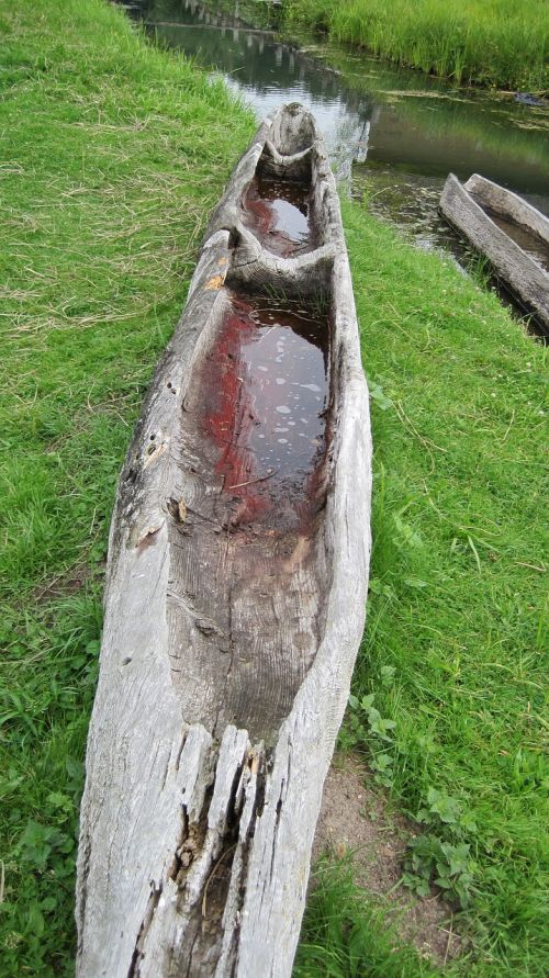 canoe a tree boot