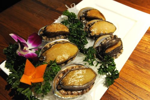 abalone abalone 2 abalone 3