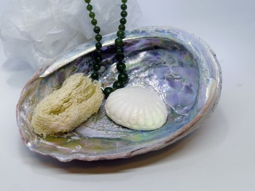 Abalone Shell Spa